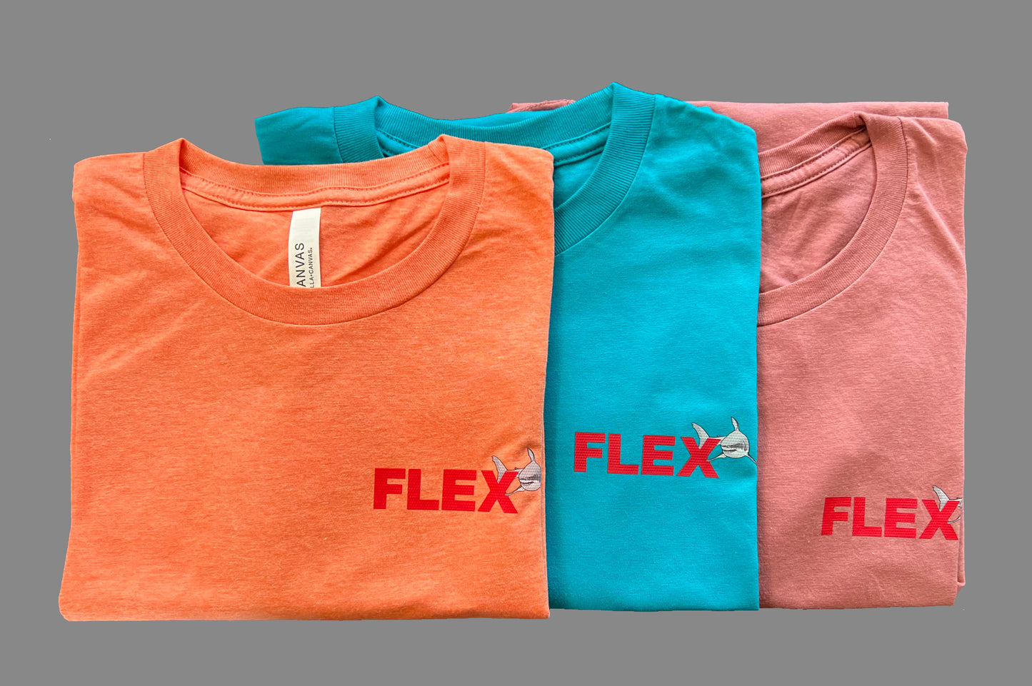 Hamflexor Tee in Sky