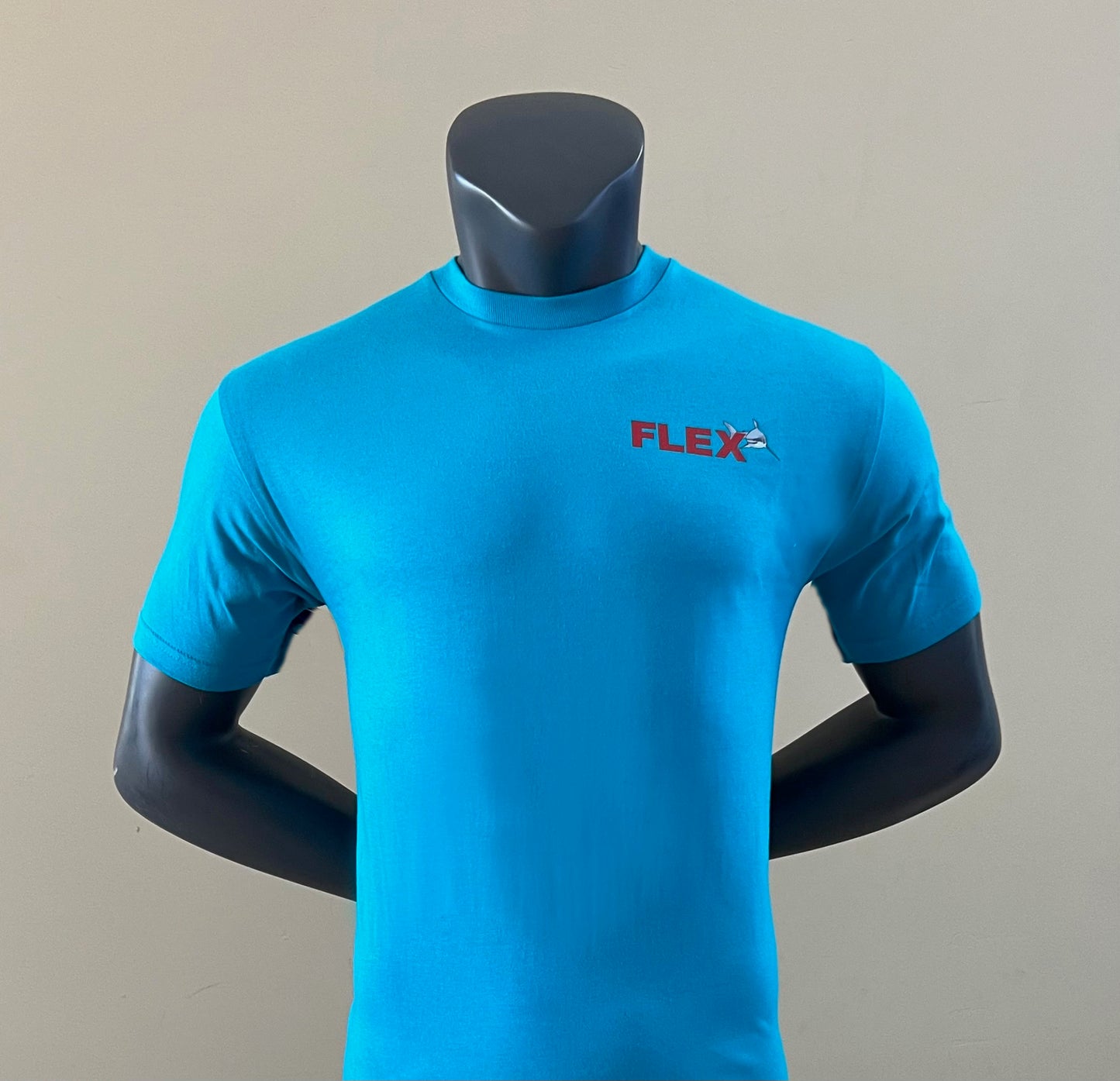 Hamflexor Tee in Aqua