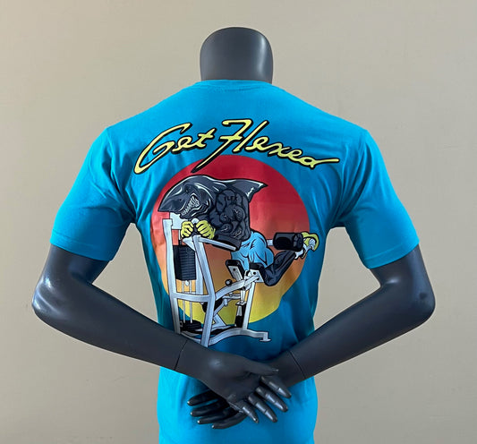 Hamflexor Tee in Aqua