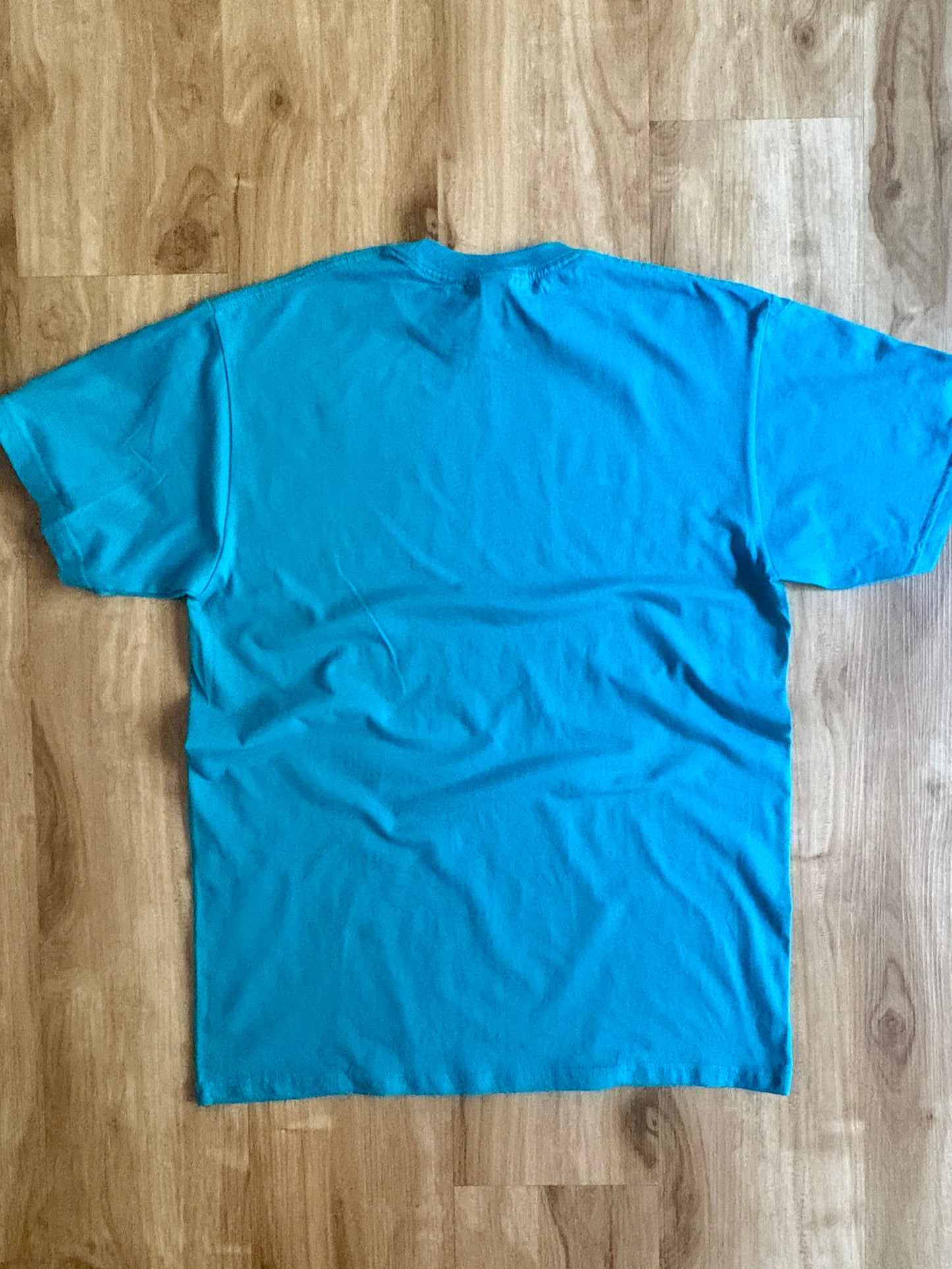 Limited Edition 1978 FLEX Collector’s Tee in Aqua